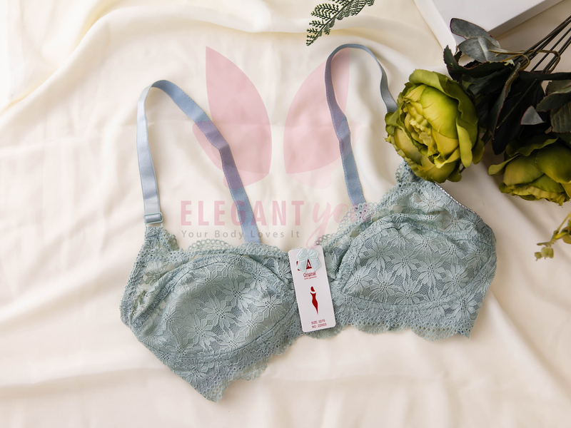 Beautiful Dailywear Net Bra (cs)